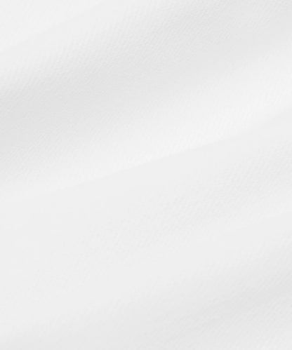 Solid light gray color swatch